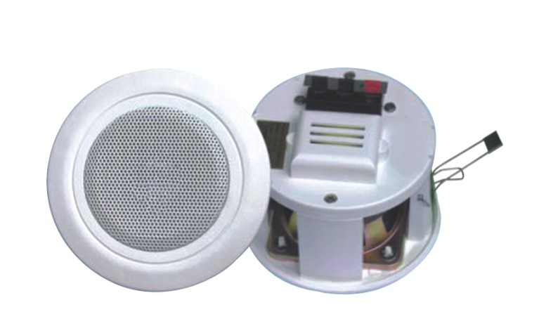 Ceiling Speaker with rear cover